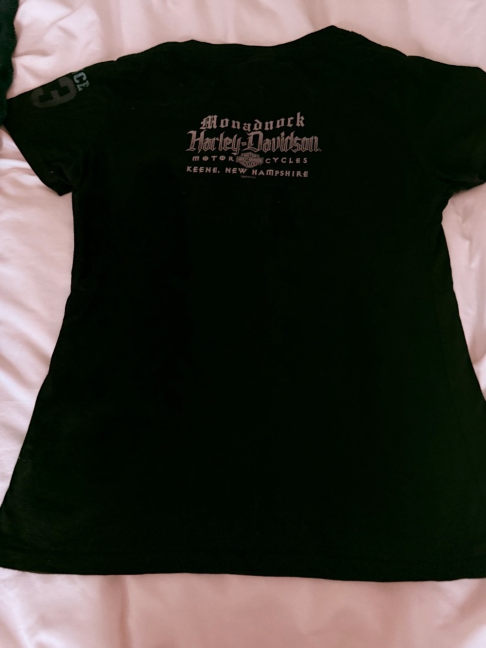 Harley-Davidson Black Tee with Teal and Gray Graphic - Picture 2 of 2